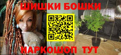 шишки Гусев
