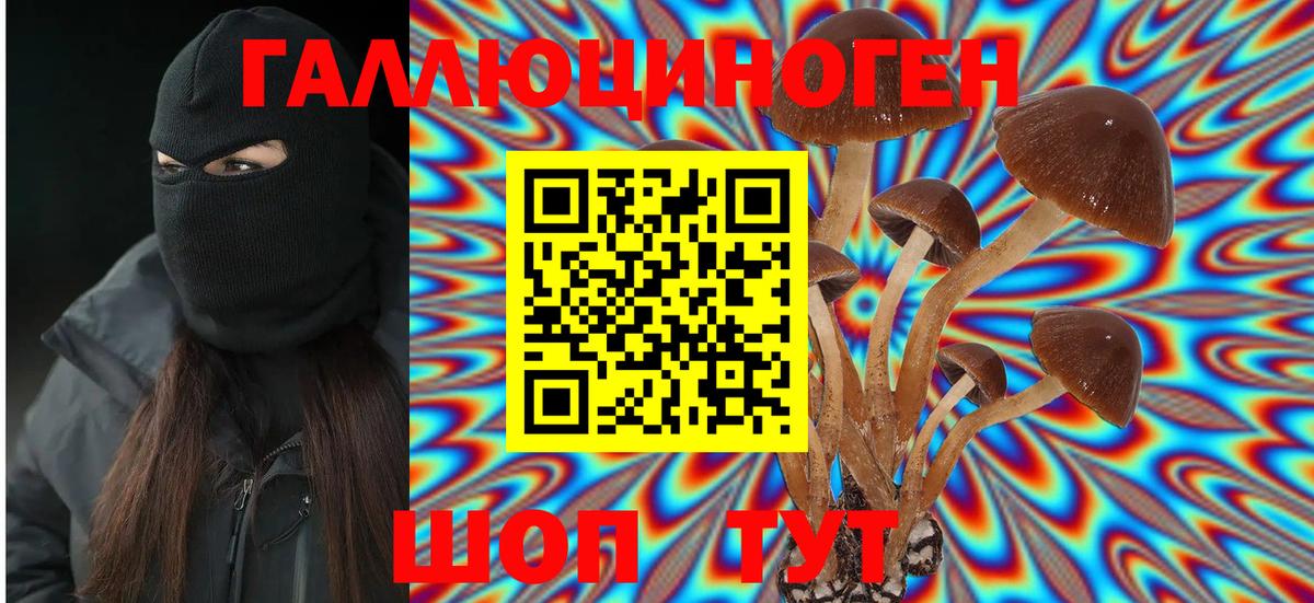 Кушва  Галлюциногенные грибы Cubensis  Вход с VPN 