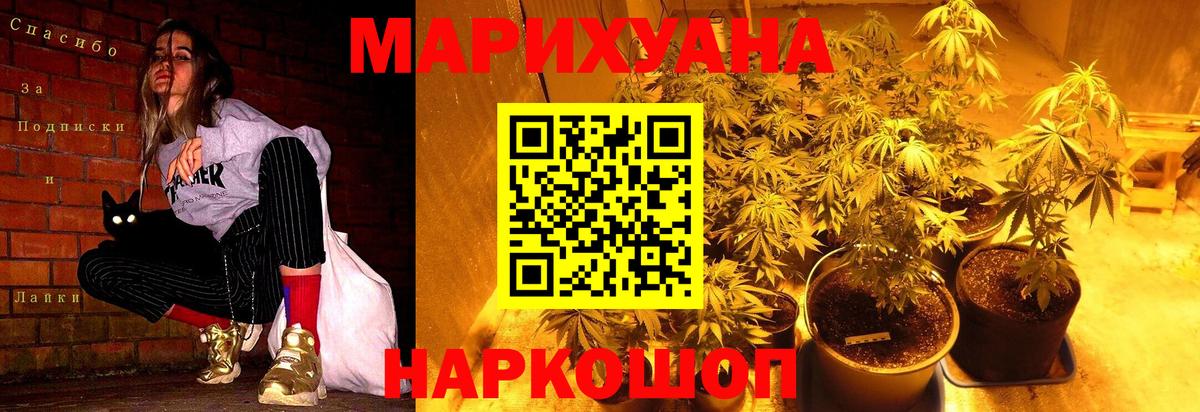 МАРИХУАНА гибрид Кушва